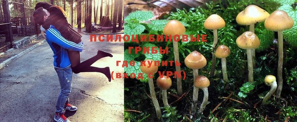 кокаин перу Арсеньев
