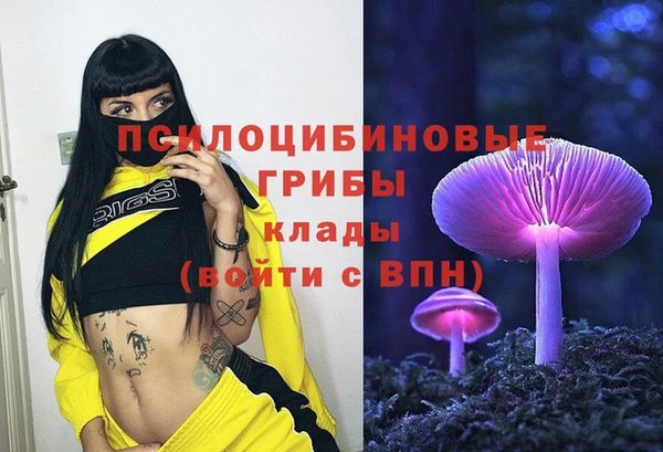 эйфоретик Баксан