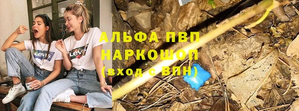 эйфоретик Баксан