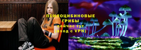 шишки Протвино