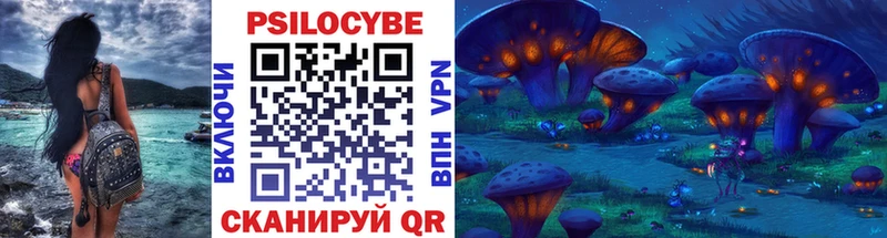 Псилоцибиновые грибы Psilocybe  Соль-Илецк 